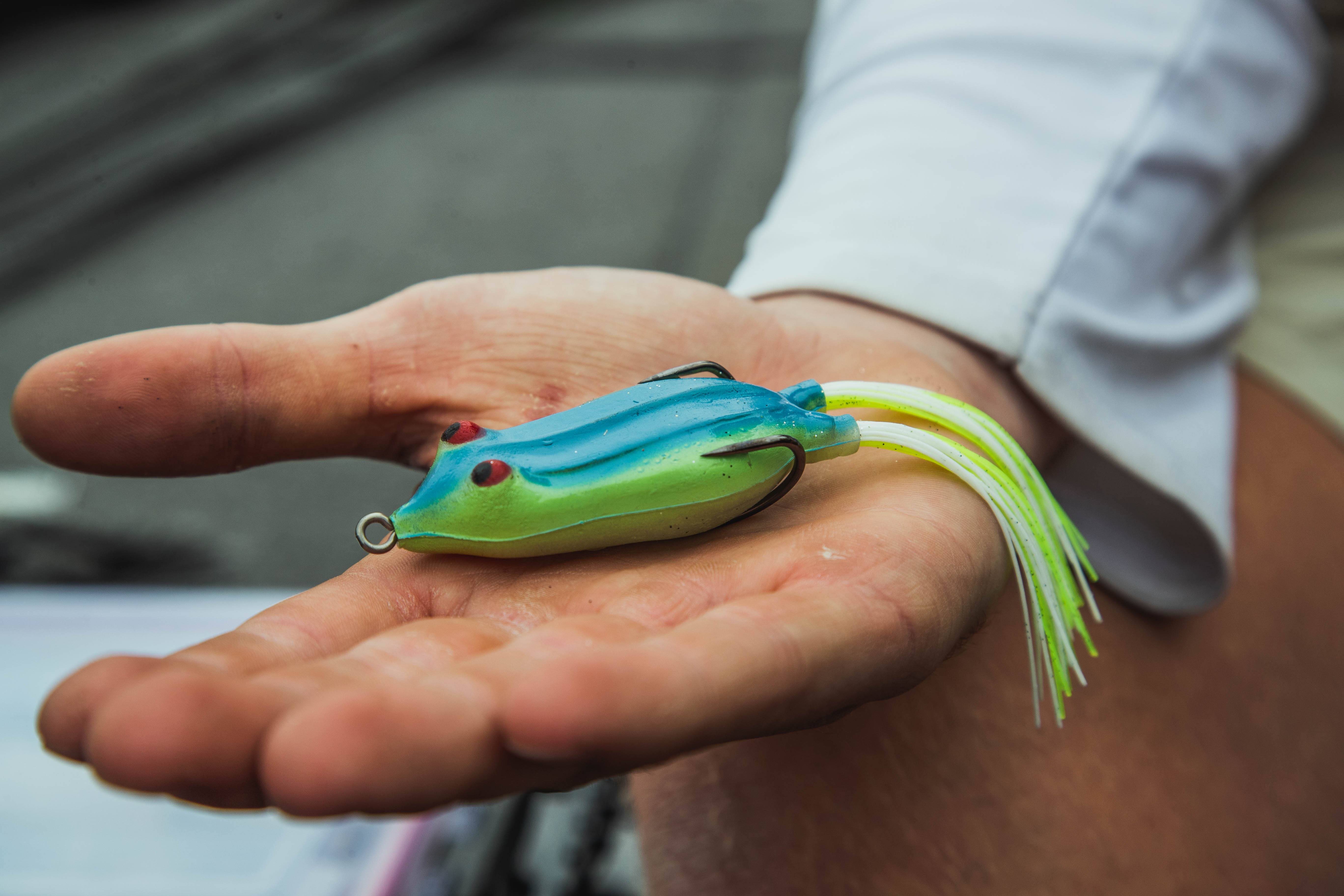 TIPS FOR A SNAG PROOF FISHING TRIP!