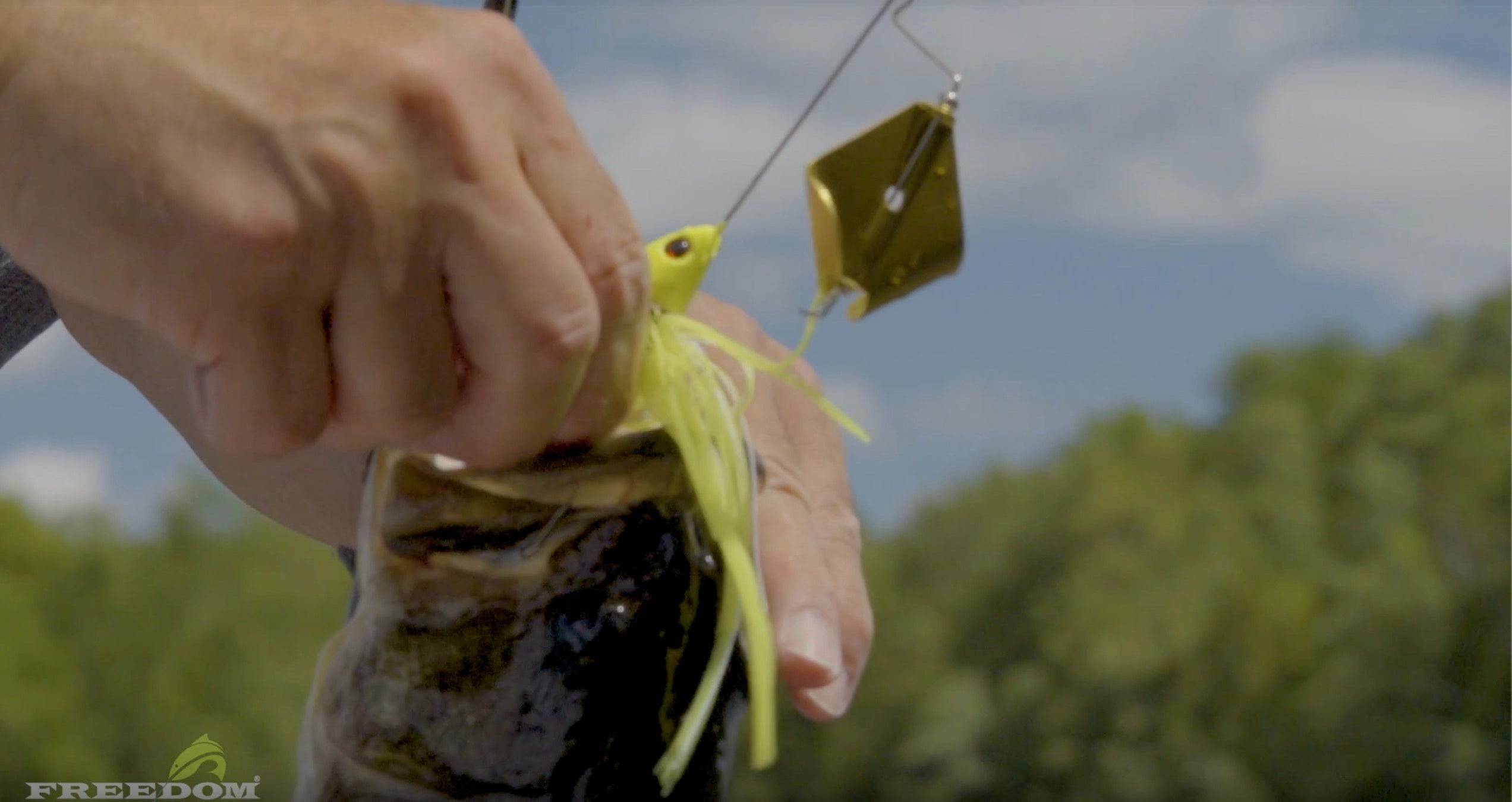 Freedom Tackle Swinging Buzzbait