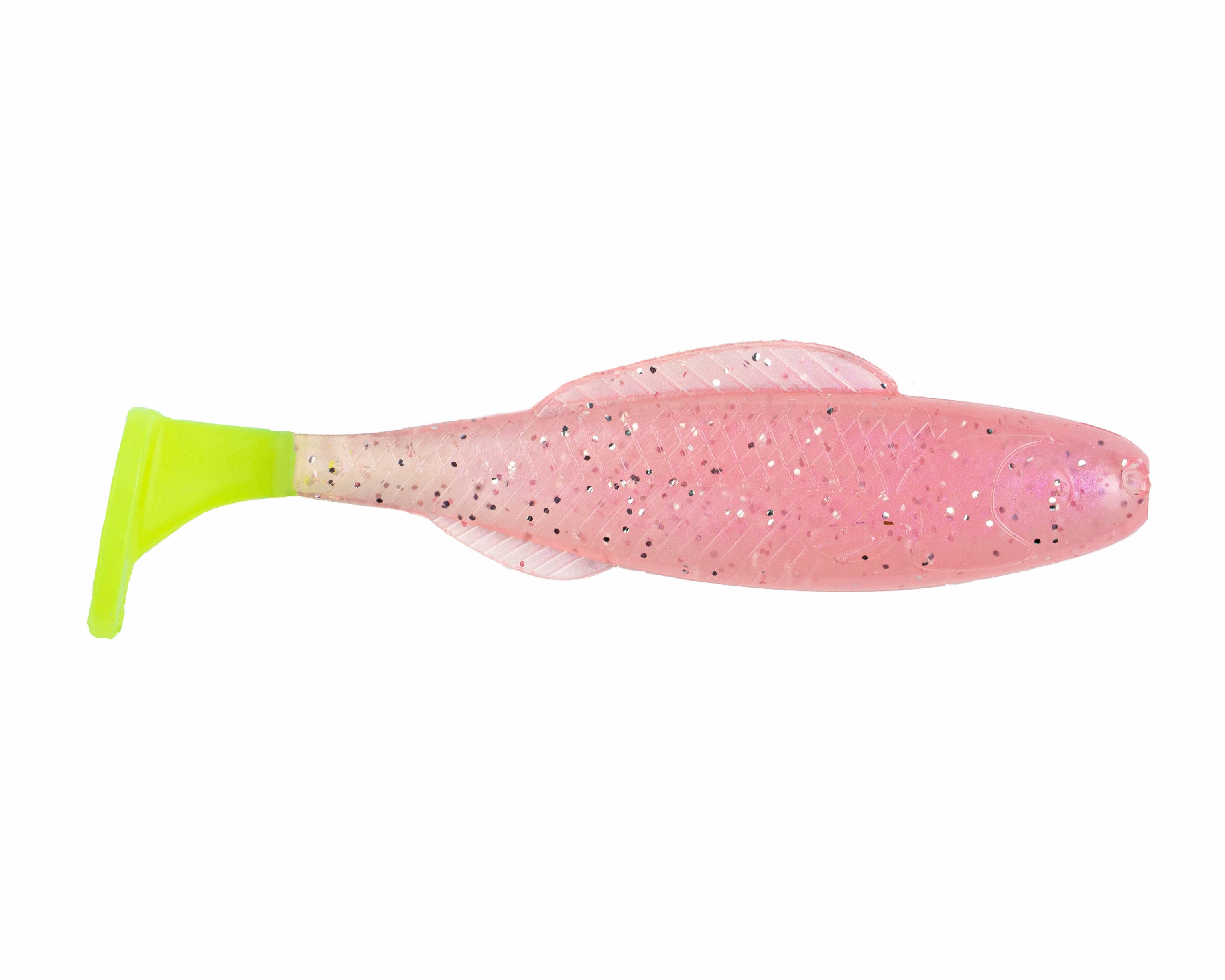 GO2 Minnow - BaitFuel Saltwater