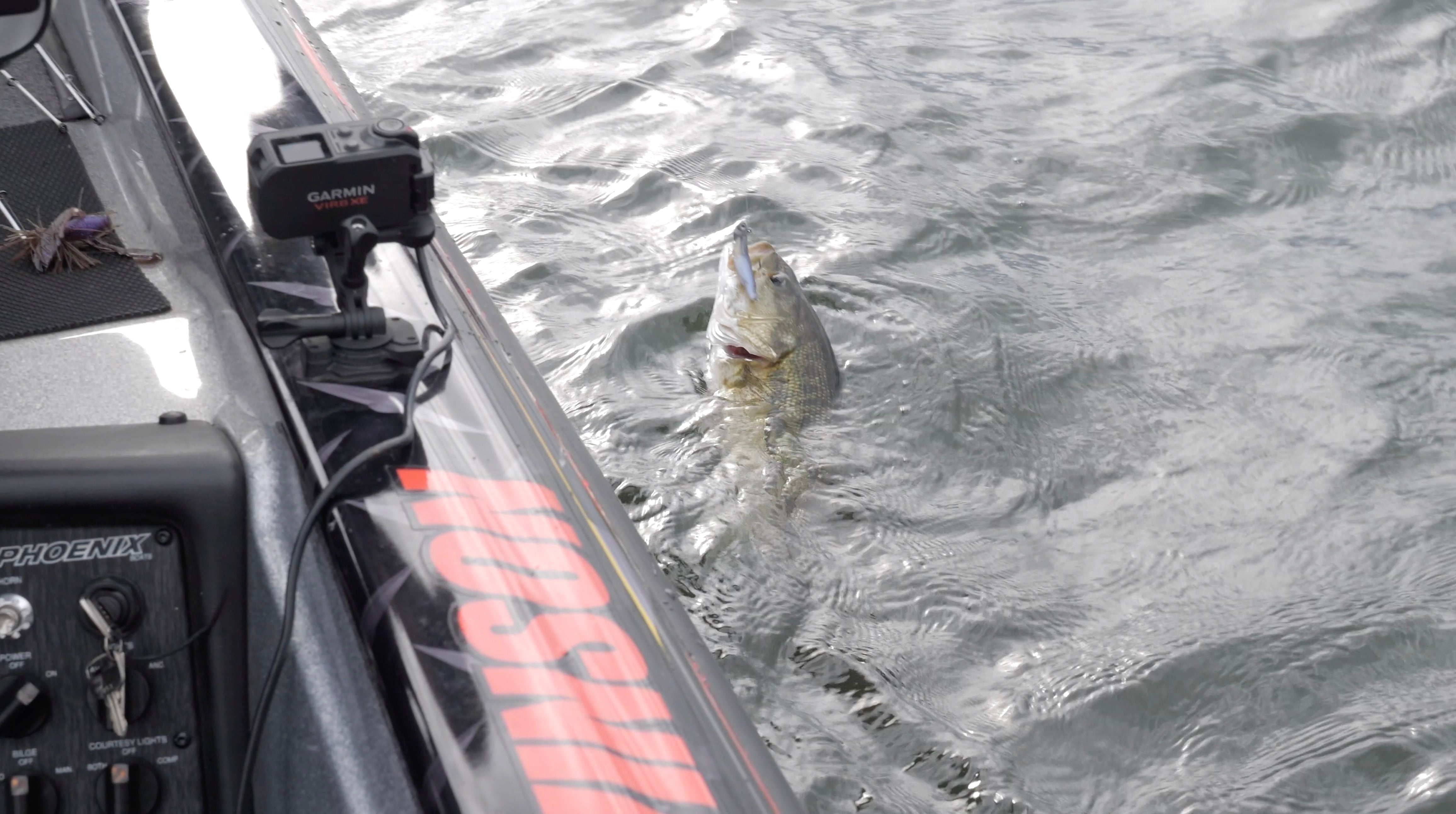Fishing Spotted Bass With The NetBait Little Spanky