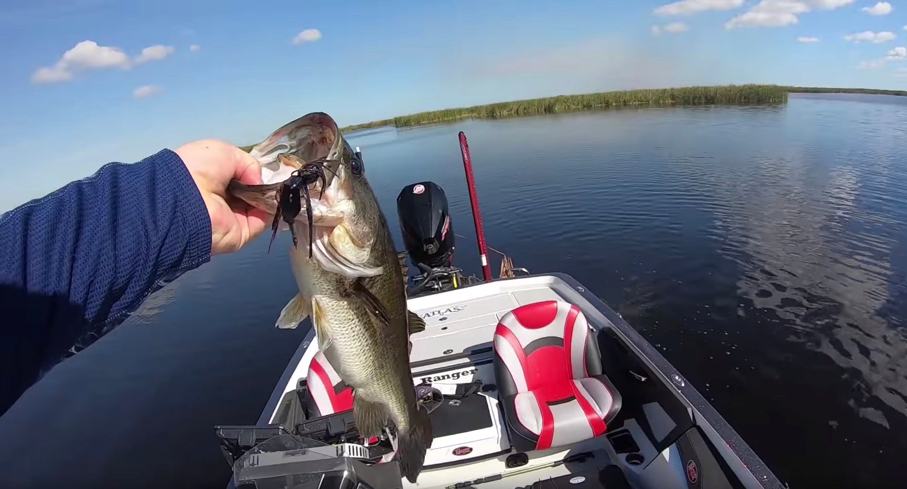 MLF Stage One Pattern Breakdown | Chatterbait Freedom