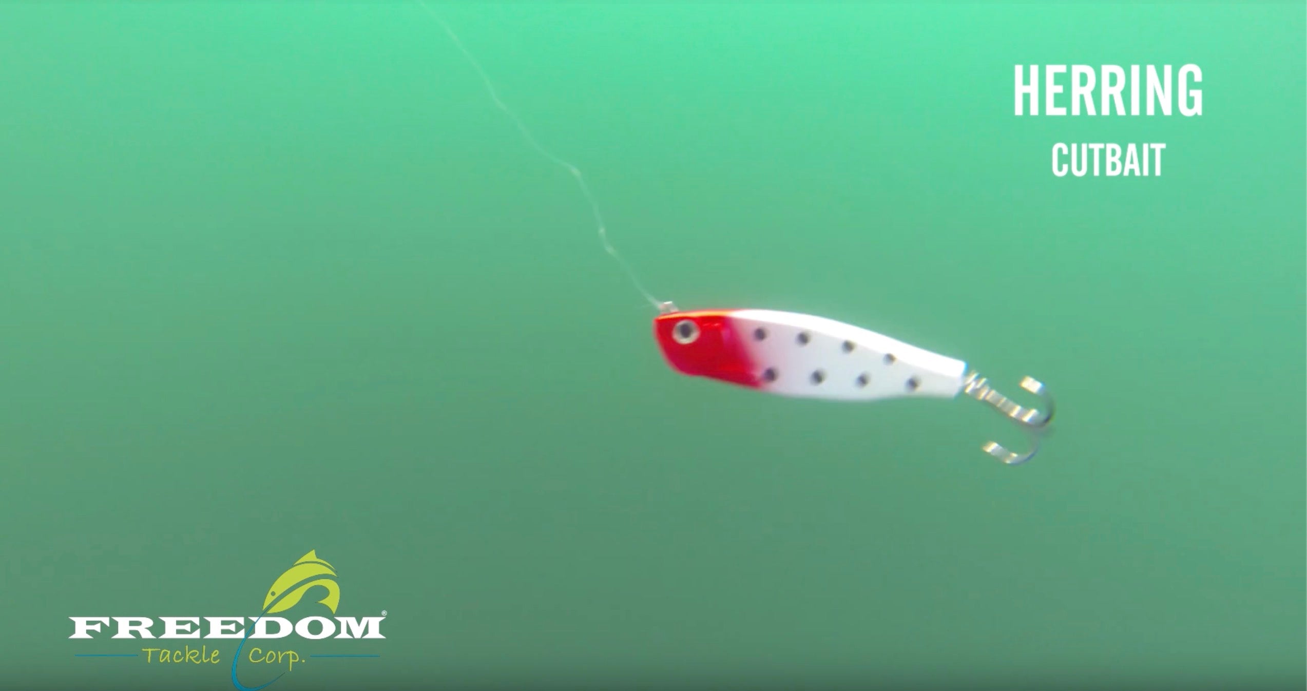 What it Looks Like  |  Herring Cutbait