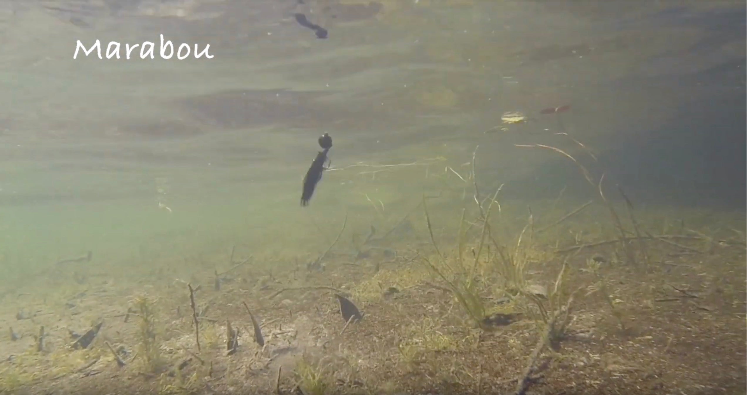 What it Looks Like | Marabou Jig