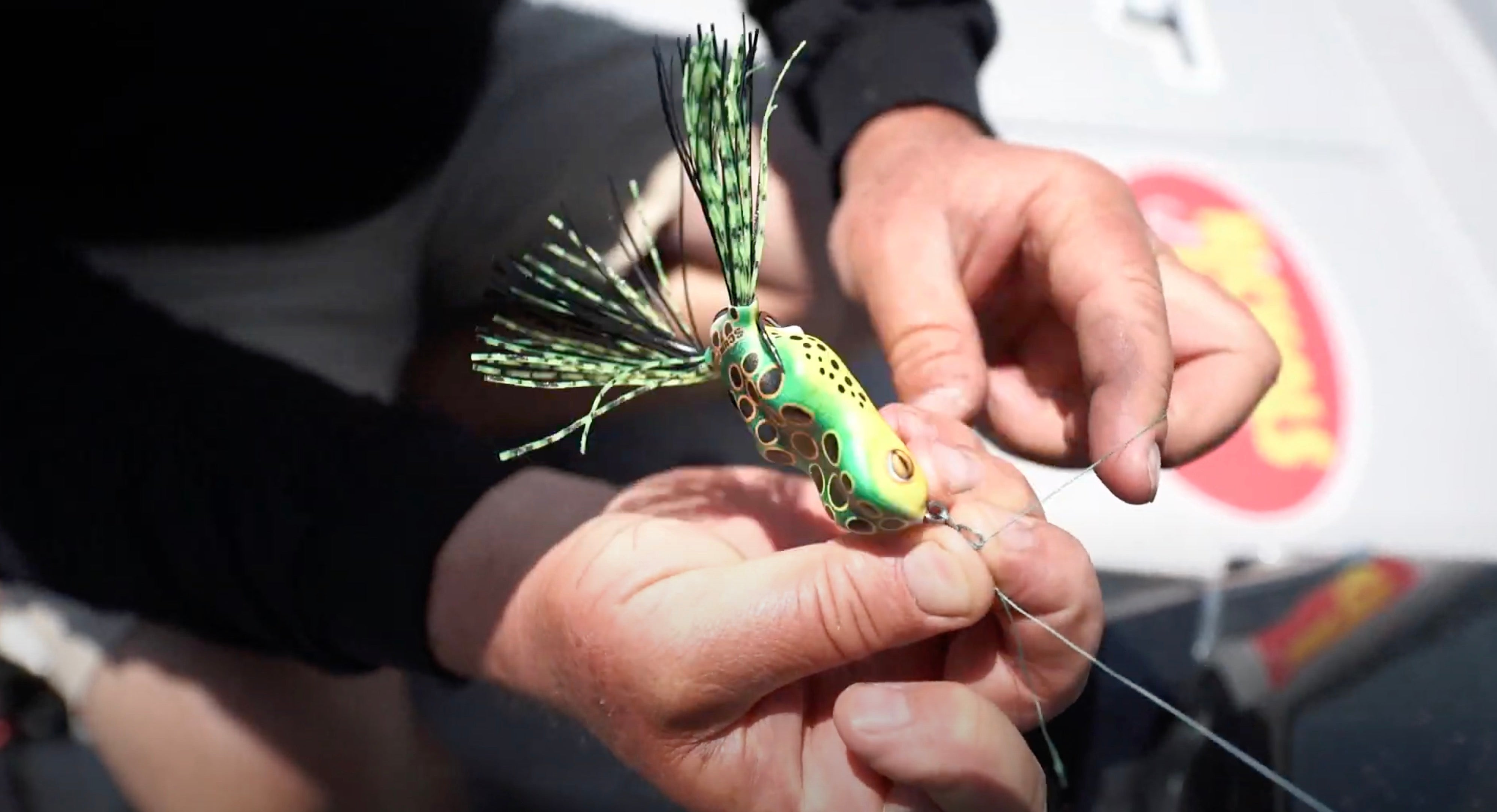 PAINTED TROPHY SERIES