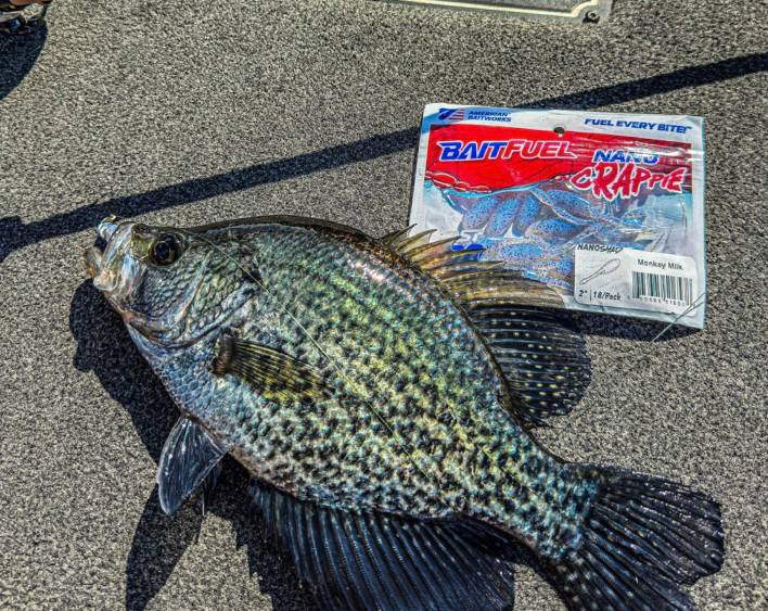 Nano Crappie