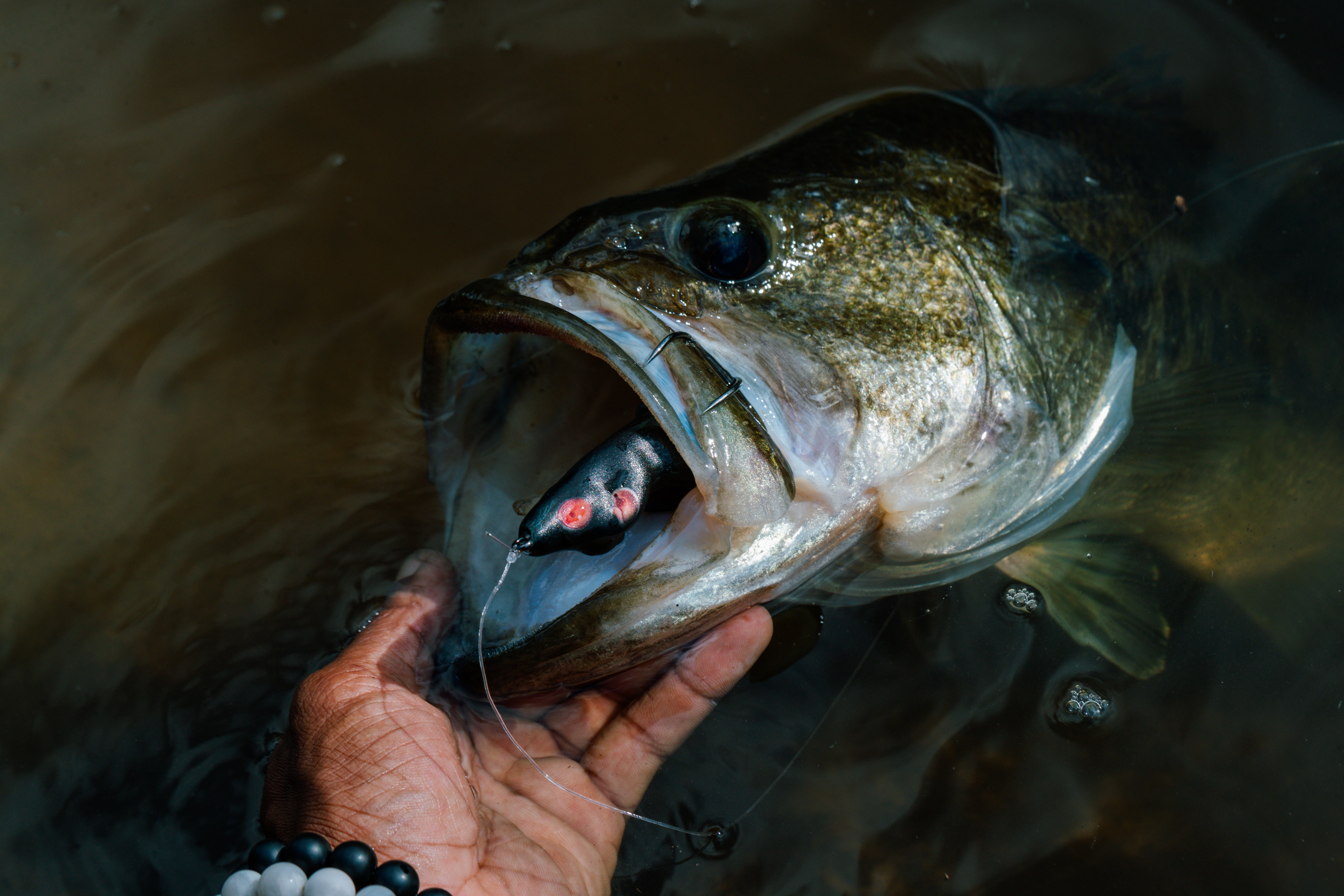 Scum Frog – American Baitworks Co.