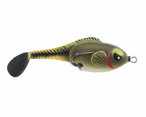 Zoo_Wake_Tennessee_Shad_SP7449