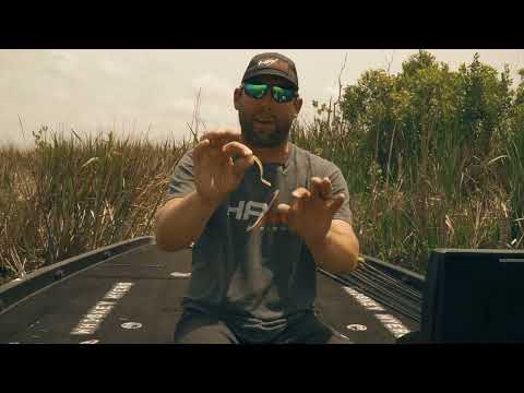 Lollipop DS™ - BaitFuel