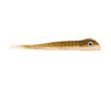 JUVINILLE GOBY